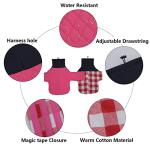 Geyecete Dachshund Coat,Dachshund Winter Coat,Warm Waterproof Windproof, High Neckine String Holes Miniature Dachshund Jacket for Small Dog-Pink-M