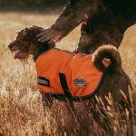 WeatherBeeta ComFiTec Reflective Parka 300D Dog Coat, Orange, 20"