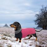 Geyecete Dachshund Coat,Dachshund Winter Coat,Warm Waterproof Windproof, High Neckine String Holes Miniature Dachshund Jacket for Small Dog-Pink-M