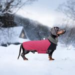 Geyecete Dachshund Coat,Dachshund Winter Coat,Warm Waterproof Windproof, High Neckine String Holes Miniature Dachshund Jacket for Small Dog-Pink-M