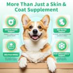 POPPAW Allergy & Immune Supplement for Dogs - Omega 3-6-9 Liquid Drops for Seasonal Allergy Support, Skin Itch Relief, Less Shedding, Coat Health - with Biotin, Turmeric - Chicken Flavor - 2 FL.OZ