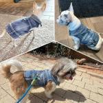Puppy Clothes for Small Dogs Boy,Classic Western Denim Dog Coat,Dog Jeans Jacket with Leash D-Ring,Pet Cat Costumes,Cooling Harness Vest for Walking (Blue, Small)