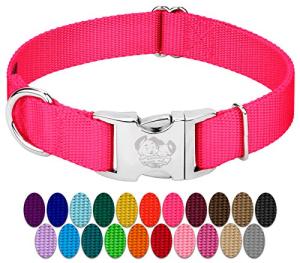 Country Brook Petz Premium Nylon Dog Collar with Metal Buckle for Small Medium Large Breeds - Vibrant 30+ Color Selection (Medium, 3/4 Inch, Hot Pink)