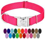 Country Brook Petz Premium Nylon Dog Collar with Metal Buckle for Small Medium Large Breeds - Vibrant 30+ Color Selection (Medium, 3/4 Inch, Hot Pink)