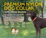 Country Brook Petz Premium Nylon Dog Collar with Metal Buckle for Small Medium Large Breeds - Vibrant 30+ Color Selection (Medium, 3/4 Inch, Hot Pink)