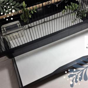 Birdcage Liners - Poly Coated, Large Sizes, Custom Orders - Pre Cut Sheets in 60, 100 or 150 Quantities - Up to 250 Ft
