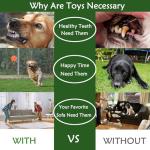 Koyukuk Dog Toy Balls for Small Dogs, 12 Pack Interactive Dog Toys for Small Breed 0-15 lbs, Includes Rubber, Squeak & Rope Balls