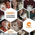 Chongker Stuffed Animals Handmade Realistic Cat Plush Toy Companion Pet for Elderly Adults Women Kids Cat Lover Surprise Gifts for Anniversary Birthday,Ragdoll Cat