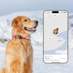 Fi New Series 3+ Smart Dog Collar - GPS Dog Tracker and Activity & New Fitness Monitor, Waterproof, LED Light, Escape Alerts, Nationwide Coverage [Free 6 Month Membership] (Pink, Large)