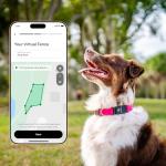 Fi New Series 3+ Smart Dog Collar - GPS Dog Tracker and Activity & New Fitness Monitor, Waterproof, LED Light, Escape Alerts, Nationwide Coverage [Free 6 Month Membership] (Pink, Large)