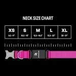Fi New Series 3+ Smart Dog Collar - GPS Dog Tracker and Activity & New Fitness Monitor, Waterproof, LED Light, Escape Alerts, Nationwide Coverage [Free 6 Month Membership] (Pink, Large)