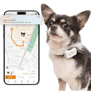 Pawfit Lite for Small Dogs 4g GPS Tracker | Real Time Tracking | Activity Monitoring |Location History | Unlimited Range | Onyx Black