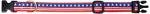 Up Country Stars and Stripes Dog Collar, Medium (12 to 18 inches) 1 inch Wide Width