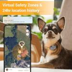 Pawfit Lite for Small Dogs 4g GPS Tracker | Real Time Tracking | Activity Monitoring |Location History | Unlimited Range | Onyx Black