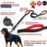 Primal Pet Gear Dog Leash 8ft Long - Black - Traffic Padded Two Handle - Heavy Duty - Double Handles Lead for Control Safety Training - Leashes for Large Dogs or Medium Dogs - Dual Handles Leads