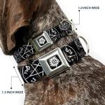 Buckle-Down Dog Collar Seatbelt Buckle Supernatural Devils Trap Pentagrams Grays Black White 1" Wide - Fits 11-16.5" Neck - Medium, DC-SB-SNA-WSN007-1.0-M