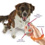 Gamepad Clicker for Dog Training with Strap
