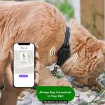 Tile Sticker Cat Collar Holder (2024): The Smallest, Lightest, and Most Comfortable Tracking Case for Cats - Track Your Pet with iPhone Samsung Android Device - Life360 for Boy Girl Kittens (Black)