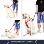 Plutus Pet Double Handle Dog Leash 6ft Long, Padded 2 Handle, Heavy Duty, Reflective Training Leash for Medium Large Dogs, Dual Handle Lead (Pink)