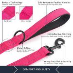 Plutus Pet Double Handle Dog Leash 6ft Long, Padded 2 Handle, Heavy Duty, Reflective Training Leash for Medium Large Dogs, Dual Handle Lead (Pink)