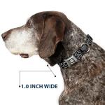 Buckle-Down Dog Collar Seatbelt Buckle Supernatural Devils Trap Pentagrams Grays Black White 1" Wide - Fits 11-16.5" Neck - Medium, DC-SB-SNA-WSN007-1.0-M
