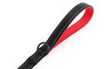 Primal Pet Gear Dog Leash 6ft Long,Traffic Padded Two Handle,Heavy Duty,Reflective Double Handles Lead for Control Safety Training,Leashes for Large Dogs or Medium Dogs,Dual Handles Leads(Black)