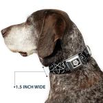 Buckle-Down Dog Collar Seatbelt Buckle Supernatural Devils Trap Pentagrams Grays Black White 1" Wide - Fits 11-16.5" Neck - Medium, DC-SB-SNA-WSN007-1.0-M