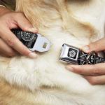 Buckle-Down Dog Collar Seatbelt Buckle Supernatural Devils Trap Pentagrams Grays Black White 1" Wide - Fits 11-16.5" Neck - Medium, DC-SB-SNA-WSN007-1.0-M