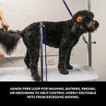 Groomers Helper® Patented 5/8" Loop - Pet Grooming Safety Loop for Dog Bathing, Dog Grooming & Trimming (Purple)