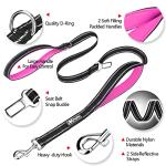 PoyPet 5 Feet Heavy Duty Dog Leash - Car Seat Belt - 2 Handles -Padded Traffic Grip for Extra Control(Pink)