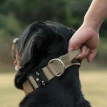 TSPRO Premium Dog Collars Tactical Dog Collar with Handle and Heavy Duty Quick-Release Metal Buckle Durable Thick and Adjustable for Medium to Large Dogs (Khaki L)