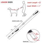 PoyPet 5 Feet Heavy Duty Dog Leash - Car Seat Belt - 2 Handles -Padded Traffic Grip for Extra Control(Pink)