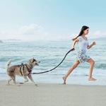 PoyPet 5 Feet Heavy Duty Dog Leash - Car Seat Belt - 2 Handles -Padded Traffic Grip for Extra Control(Pink)