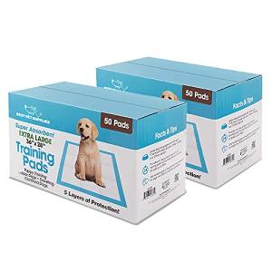 Best Pet Supplies XL Puppy Pads 100 Count - Super Absorbent Dog Training Pads, Quick-Dry, Odor Control, Disposable Pee Pads, Leak-Proof Wee Wee Pads for Indoor Dogs – Baby Blue XL, 100 Pack