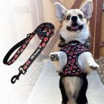 Akatsuki Dog Leash for Small Dogs, Medium, Large Dogs Heavy Duty Extra Strong Dog Lead for All Breeds/Sizes, Officially Licensed Black & Red Akatsuki Cloak Inspired 6ft Long Leash for Dogs -Med