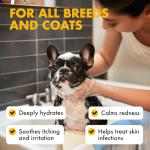 LEGITPET Oatmeal Dog Shampoo & Conditioner Itch & Allergy Relief with Honey & Aloe Hypoallergenic Gentle Calming Formula for Sensitive Skin & Dandruff Safe for Puppies Best for All Breeds 2 x 16oz