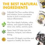 LEGITPET Oatmeal Dog Shampoo & Conditioner Itch & Allergy Relief with Honey & Aloe Hypoallergenic Gentle Calming Formula for Sensitive Skin & Dandruff Safe for Puppies Best for All Breeds 2 x 16oz