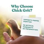 Manna Pro Chick Grit Digestive Supplement for Young Growing Poultry & Bantam Breeds, No Artificial Ingredients or Preservatives, Natural Supplement with Insoluble Crushed Granite, 5 lbs