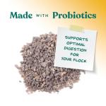 Manna Pro Chick Grit Digestive Supplement for Young Growing Poultry & Bantam Breeds, No Artificial Ingredients or Preservatives, Natural Supplement with Insoluble Crushed Granite, 5 lbs