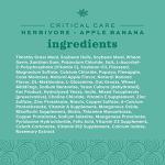 Oxbow Critical Care Herbivore, Emergency Guinea Pig Food, Rabbit Food for Recovery, Natural Apple Banana Flavor, Veterinary Formula, Critical Care for Guinea Pig Emergency Kit, Made in USA, 141 Grams
