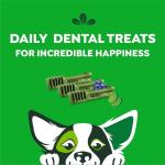 Greenies Petite Dental Dog Treats, 3-Flavor Variety Pack, (3) 12 oz. Pouches, 60 Total Treats