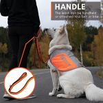 Non-stop dogwear Bungee Leash Elastic Dog Leash for Sports Like Running, Biking and Skiing with Dogs, Black/Orange, Size 2.0 m / 23 mm