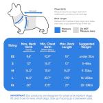 Lowrider Puffer Coat M- Warm, Waterproof, Windproof, Reflective, Insulated Dog Coat, Rain Jacket, and Vest Jacket for Small and Medium Dogs in Cold Weather, Made with Soft and Breathable Fabric