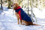 Ariat Team Softshell Dog Jacket - Insulated, Water Repellant Pet Coat