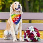 Whaline 5 Pack Rainbow Dog Bandanas Love is Love Pride Triangle Bibs Dog Paw Pet Scarf Reversible Double-Sided Pet Neckerchief for Pride Day Small Medium Large Cat Costume Accessories