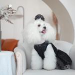 CuteBone Dog Birthday Dress Girl Puppy Skirt Tutu Cat Wedding Outfit Pet Party Clothes for Small Dogs Costume DD15M