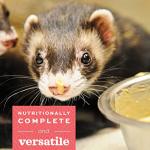 Oxbow Critical Care Carnivore, Made with Whole Egg & Dried Chicken, Assist Feeding Formula for Carnivores, Cat Supplements, Ferret Food Recovery, Small Animal Pet Products, Made in USA, 340 Gram Bag