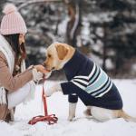 Queenmore Dog Striped Knitted Sweater, Turtleneck Pullover Pet Coat, Dog Winter Clothes with Leash Hole for Small Medium &Large Dogs(Navy Blue,XS)