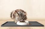 CatGuru Cat Food Mat, Small & Large Feeding Mats, 100% Waterproof Silicone Pet Placemat, Non-Slip Cat Food and Water Bowl or Water Fountain (Large, Carbon)
