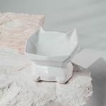 GEO: Ergonimic Cat Bowl Feeder in Ceramic (White)